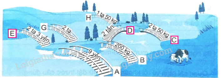 Giải bài 17: Yến, tạ, tấn (tiết 3) trang 58 vở bài tập Toán 4 - Kết nối tri thức với cuộc sống 2