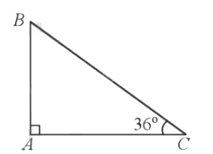 Giải bài 18 trang 87 sách bài tập toán 9 - Cánh diều tập 1 2