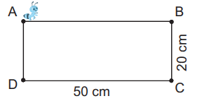 Giải bài 19: Hình tam giác, hình tứ giác. Hình chữ nhật, hình vuông (tiết 3) trang 52, 53 vở bài tập Toán 3 - Kết nối tri thức với cuộc sống 1