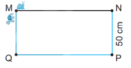 Giải bài 19: Hình tam giác, hình tứ giác. Hình chữ nhật, hình vuông (tiết 3) trang 52, 53 vở bài tập Toán 3 - Kết nối tri thức với cuộc sống 1 1