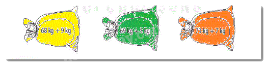 Giải bài 19: Phép cộng (có nhớ) số có hai chữ số với số có một chữ số (tiết 1) trang 69 Vở bài tập toán 2 - Kết nối tri thức với cuộc sống 2 2