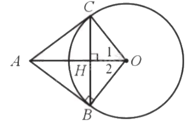 Giải bài 19 trang 108 sách bài tập toán 9 - Cánh diều tập 1 2