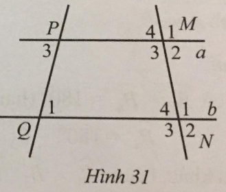 Giải Bài 19 trang 110 sách bài tập toán 7 tập 1 - Cánh diều 1