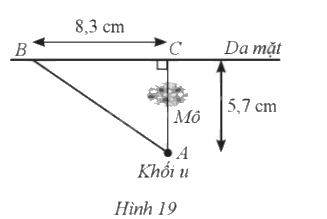 Giải bài 19 trang 87 sách bài tập toán 9 - Cánh diều tập 1 1