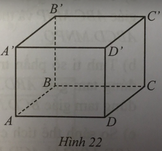 Giải Bài 19 trang 94 sách bài tập toán 7 tập 1 - Cánh diều 1