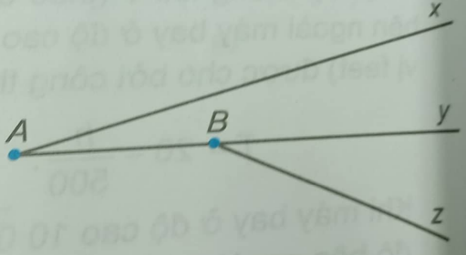 Giải Bài 19 trang 96 sách bài tập Toán 6 Kết nối tri thức với cuộc sống 1