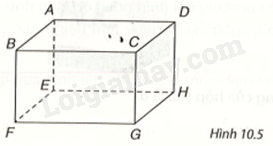 Giải bài 2 (10.2) trang 91, 92 vở thực hành Toán 7 tập 2 1
