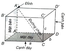 Giải bài 2 (10.2) trang 91, 92 vở thực hành Toán 7 tập 2 3