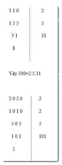Giải Bài 2.24 trang 36 sách bài tập Toán 6 Kết nối tri thức với cuộc sống 3