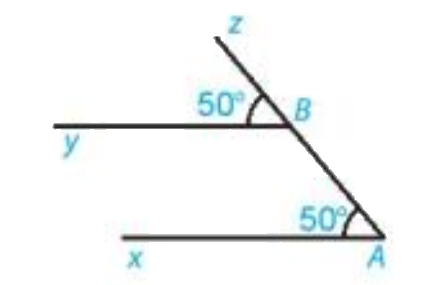 Giải bài 2(3.13) trang 43 vở thực hành Toán 7 1