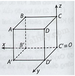 Giải bài 2.30 trang 54 sách bài tập toán 12 - Kết nối tri thức 1