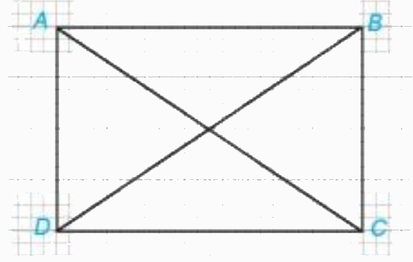 Giải bài 2 (4.5) trang 59 vở thực hành Toán 7 1