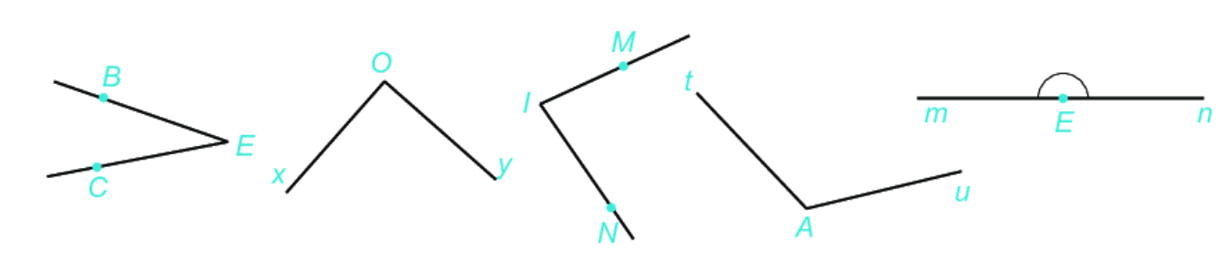 Giải bài 2 (8.32) trang 58 vở thực hành Toán 6 1