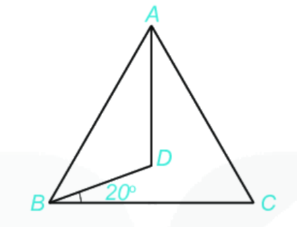 Giải bài 2 (8.36) trang 60 vở thực hành Toán 6 1