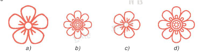 Giải bài 2 trang 100 vở thực hành Toán 8 tập 2 1