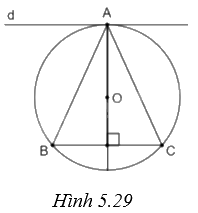 Giải bài 2 trang 113 vở thực hành Toán 9 2