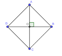 Giải bài 2 trang 115 SGK Toán 8 tập 1 - Cánh diều 2