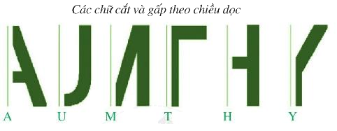 Giải bài 2 trang 116 SGK Toán 6 Cánh diều 1