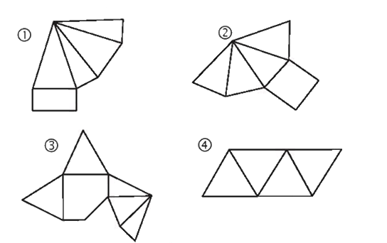 Giải bài 2 trang 116 vở thực hành Toán 8 tập 2 1