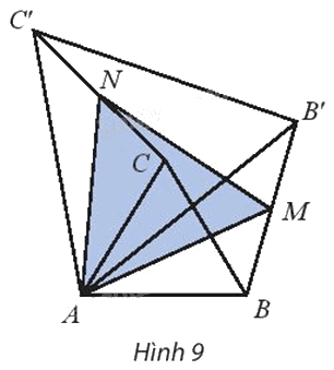 Giải bài 2 trang 29 Chuyên đề học tập Toán 11 Chân trời sáng tạo 1