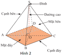 Giải bài 2 trang 40 sách bài tập toán 8 - Chân trời sáng tạo 3