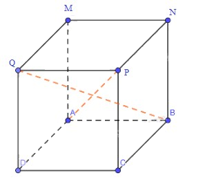 Giải Bài 2 trang 53 sách bài tập toán 7 tập 1 - Chân trời sáng tạo 3