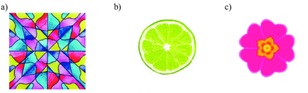 Giải bài 2 trang 58 SGK Toán 6 Chân trời sáng tạo Tập 2 1