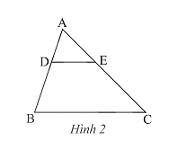 Giải bài 2 trang 58 SGK Toán 8 tập 2– Chân trời sáng tạo 1