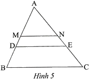 Giải bài 2 trang 59 sách bài tập toán 8 - Chân trời sáng tạo tập 2 1