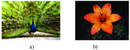 Giải bài 2 trang 61 SGK Toán 6 Chân trời sáng tạo Tập 2 1