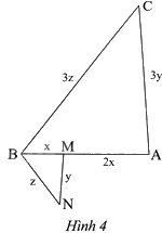 Giải bài 2 trang 62 sách bài tập toán 8 - Chân trời sáng tạo tập 2 1
