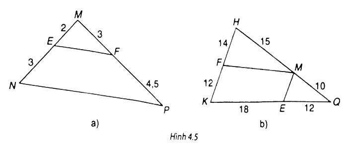Giải bài 2 trang 71 vở thực hành Toán 8 1