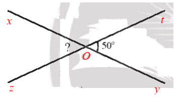 Giải Bài 2 trang 75 sách bài tập toán 7 tập 1 - Chân trời sáng tạo 3