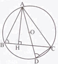 Giải bài 2 trang 79 sách bài tập toán 9 - Chân trời sáng tạo tập 2 2
