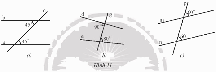 Giải Bài 2 trang 83 sách bài tập toán 7 tập 1 - Chân trời sáng tạo 1