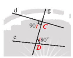 Giải Bài 2 trang 83 sách bài tập toán 7 tập 1 - Chân trời sáng tạo 4