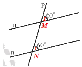 Giải Bài 2 trang 83 sách bài tập toán 7 tập 1 - Chân trời sáng tạo 5
