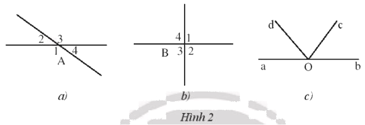 Giải Bài 2 trang 87 sách bài tập toán 7 tập 1 - Chân trời sáng tạo 1