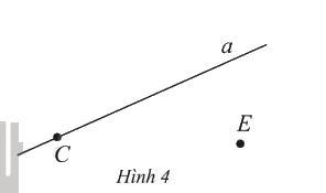Giải bài 2 trang 88 sách bài tập Toán 6 – Cánh Diều Tập 2 1
