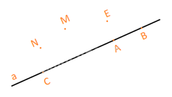 Giải bài 2 trang 88 sách bài tập Toán 6 – Cánh Diều Tập 2 3