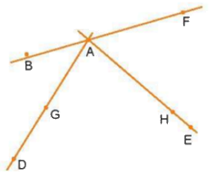 Giải bài 2 trang 88 sách bài tập Toán 6 - Chân trời sáng tạo Tập 2 2