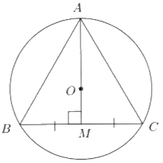 Giải bài 2 trang 92 vở thực hành Toán 9 tập 2 2