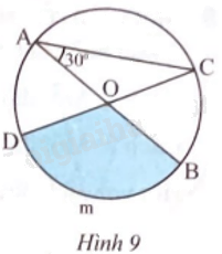 Giải bài 2 trang 97 sách bài tập toán 9 - Chân trời sáng tạo tập 1 1