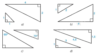 Giải bài 2 trang 97 vở thực hành Toán 8 tập 2 1