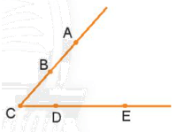 Giải bài 2 trang 98 sách bài tập Toán 6 - Chân trời sáng tạo Tập 2 1