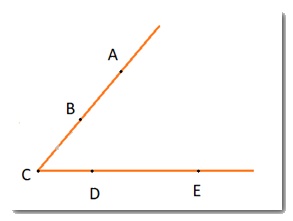 Giải bài 2 trang 98 sách bài tập Toán 6 - Chân trời sáng tạo Tập 2 3