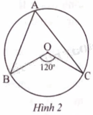 Giải bài 2 trang 98 sách bài tập toán 9 - Chân trời sáng tạo tập 1 1