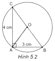Giải bài 2 trang 98 vở thực hành Toán 9 2