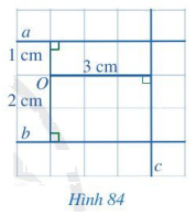 Giải bài 2 trang 99 SGK Toán 7 tập 2 - Cánh diều 1