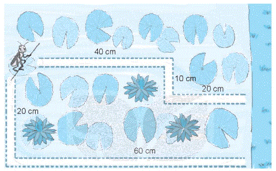 Giải bài 20: Phép cộng (có nhớ) số có hai chữ số với số có hai chữ số (tiết 3) trang 74 Vở bài tập toán 2 - Kết nối tri thức với cuộc sống 3